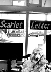Scarlet Letter